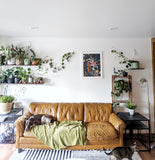 Small Indoor Wall Trellis- The Rose