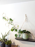 Small Indoor Wall Trellis- The Rose
