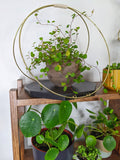 The Everly - Modern Centerpiece