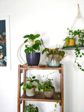 The Everly - Modern Centerpiece