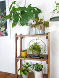 The Everly - Modern Centerpiece