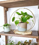 The Everly - Modern Centerpiece