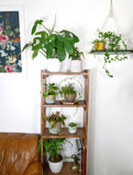 The Everly - Modern Centerpiece