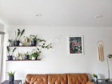 Large Indoor Plant Wall Trellis-The Rose