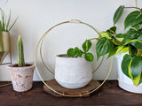 The Everly - Modern Centerpiece