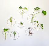 Silver Hanging Vase/ Propagation station