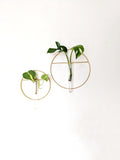 Gold Hanging Vase/ Propagation Station
