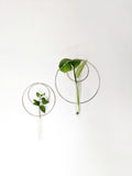 Silver Hanging Vase/ Propagation station