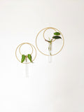 Gold Hanging Vase/ Propagation Station
