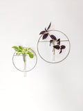 Silver Hanging Vase/ Propagation station