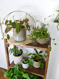 The Everly - Modern Centerpiece