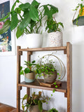 The Everly - Modern Centerpiece