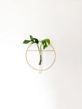 Gold Hanging Vase/ Propagation Station