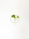 Gold Hanging Vase/ Propagation Station