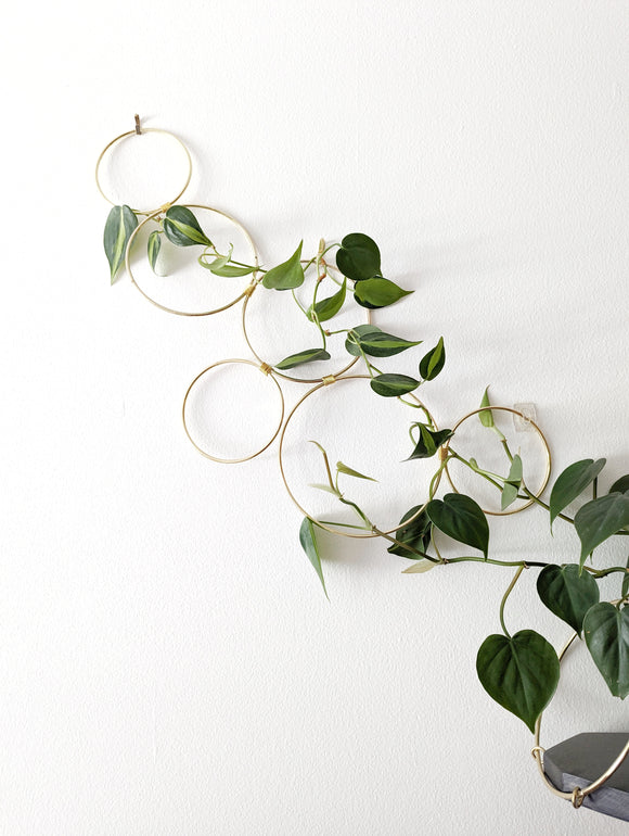 plant trellis small Small Indoor Wall Trellis- The Rose – Laurel and Twine