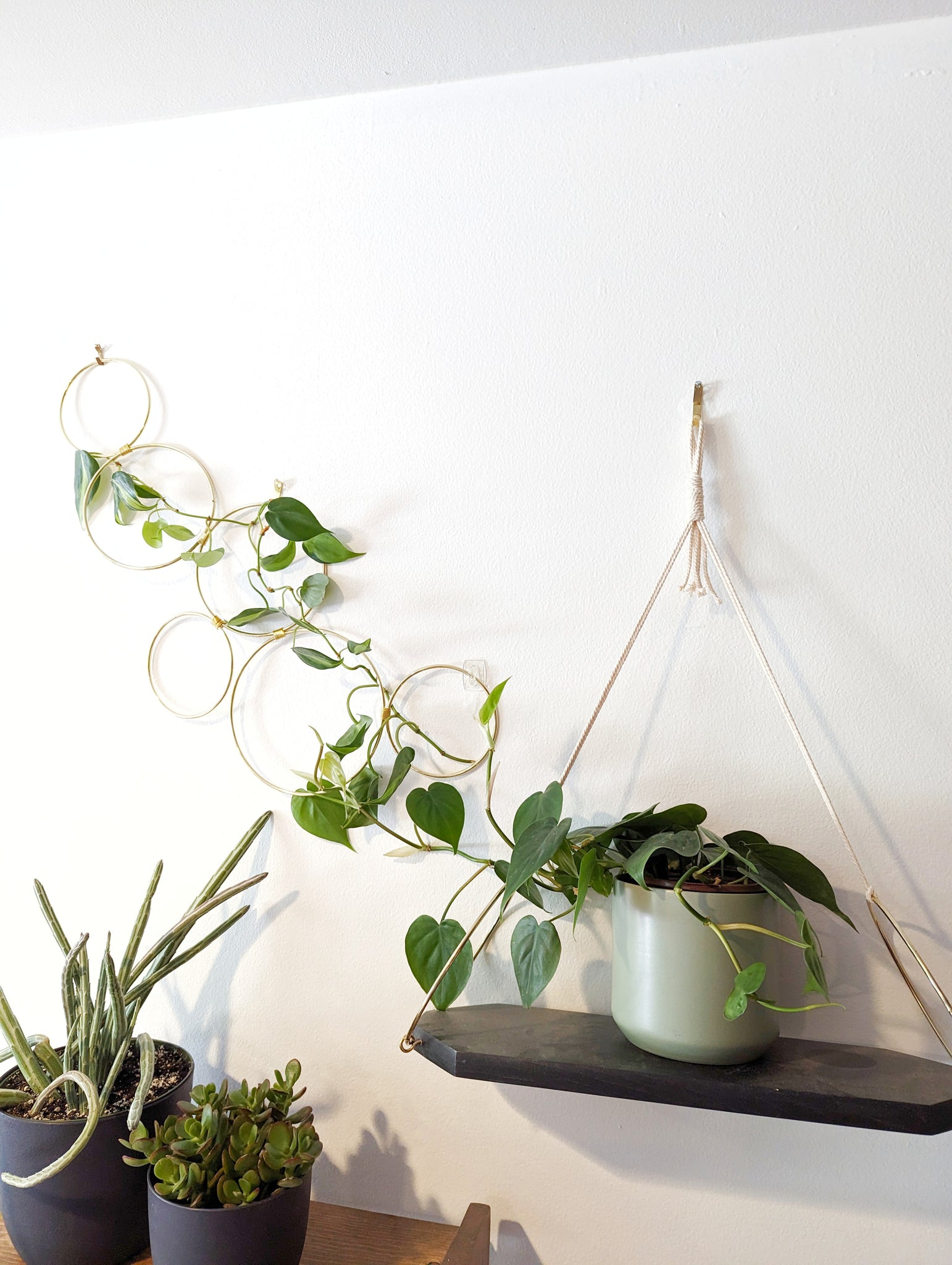 hanging plants from trellis Small Indoor Wall Trellis- The Rose – Laurel and Twine