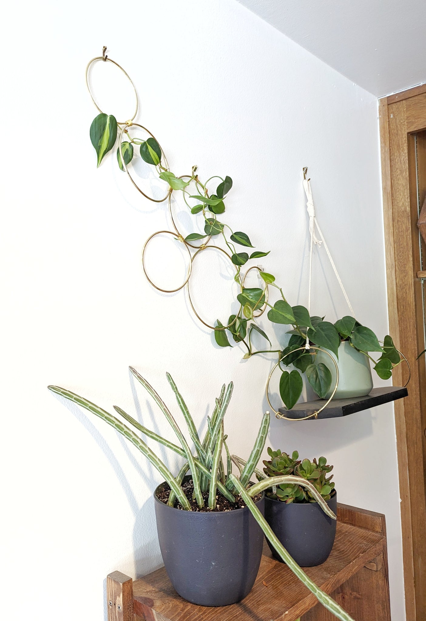 small trellis for house plants Small Indoor Wall Trellis- The Rose – Laurel and Twine