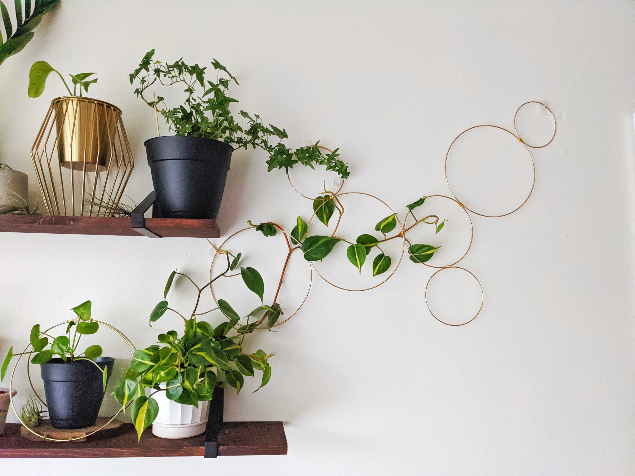 tall indoor plant trellis Large Indoor Plant Wall Trellis-The Rose – Laurel and Twine