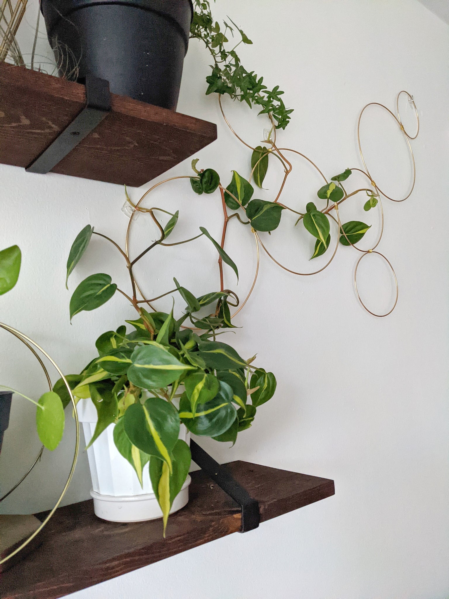 trellis plant wall Large Indoor Plant Wall Trellis-The Rose – Laurel and Twine