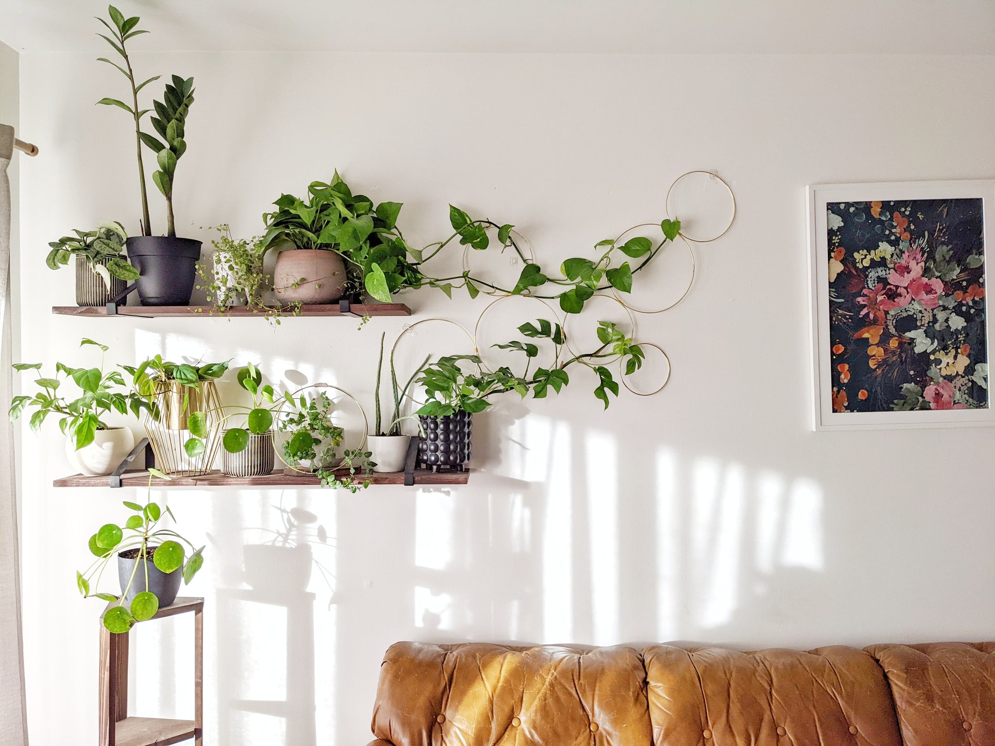 trellis for indoor house plants Large Indoor Plant Wall Trellis-The Rose – Laurel and Twine