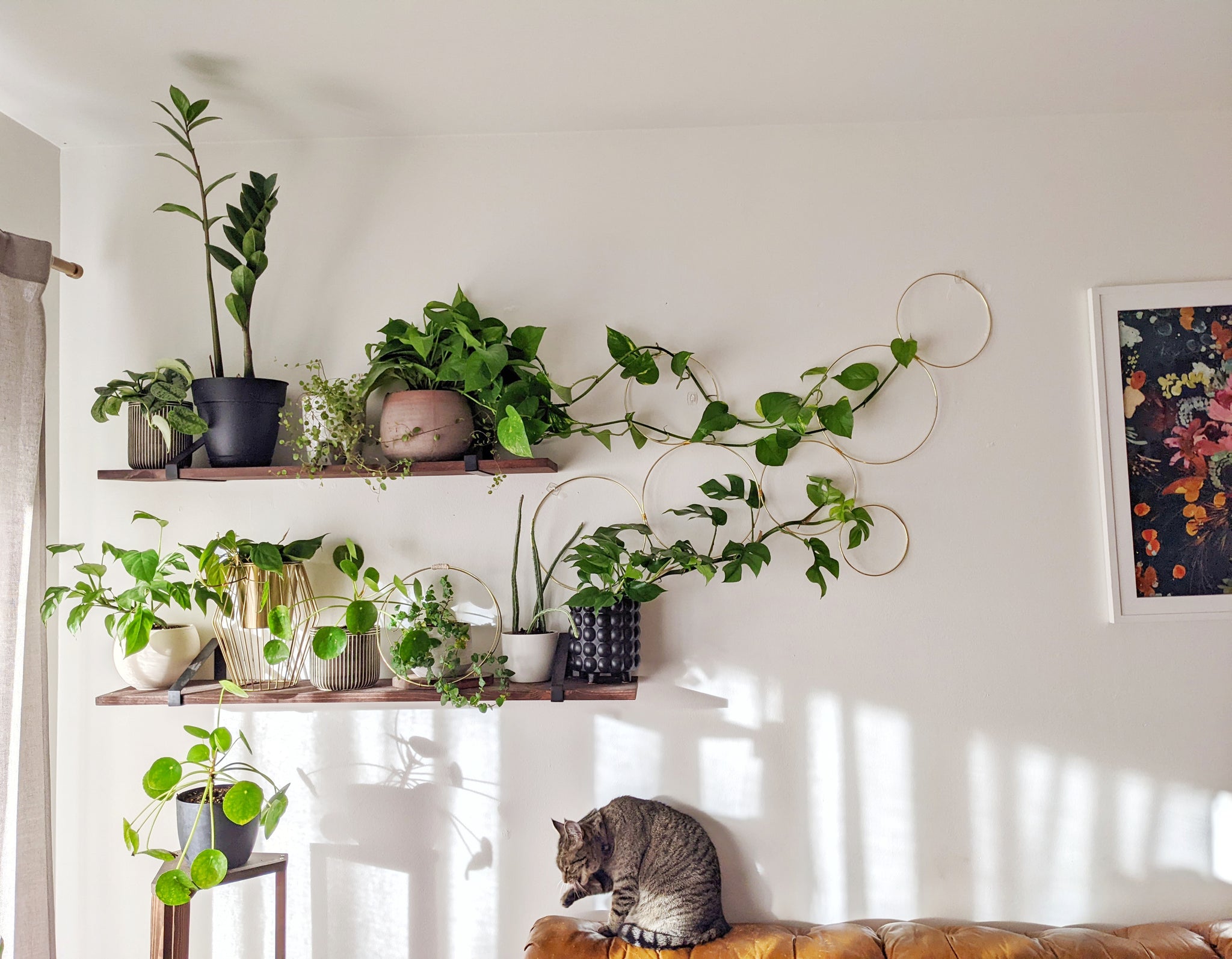 indoor wall hanging plants Large Indoor Plant Wall Trellis-The Rose – Laurel and Twine
